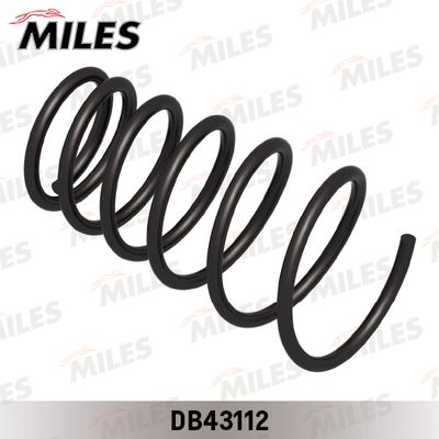 Пружина задней подвески HYUNDAI TUCSON 2.0/2.0CRDI 04- DB43112