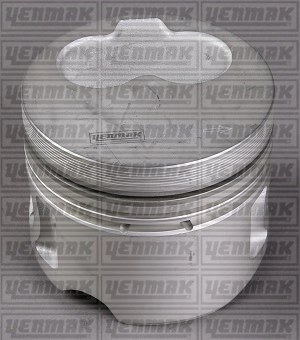 Поршень ДВС с кольцами Audi. VW 1.9D-2.4D 1X/1Y/AAB 79.5 1.75x2x3 std 89 3103309000