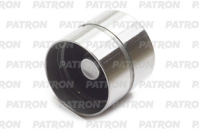 Гидрокомпенсатор CITROEN. PEUGEOT 1.6 16V TU5JP4 00 PGL050
