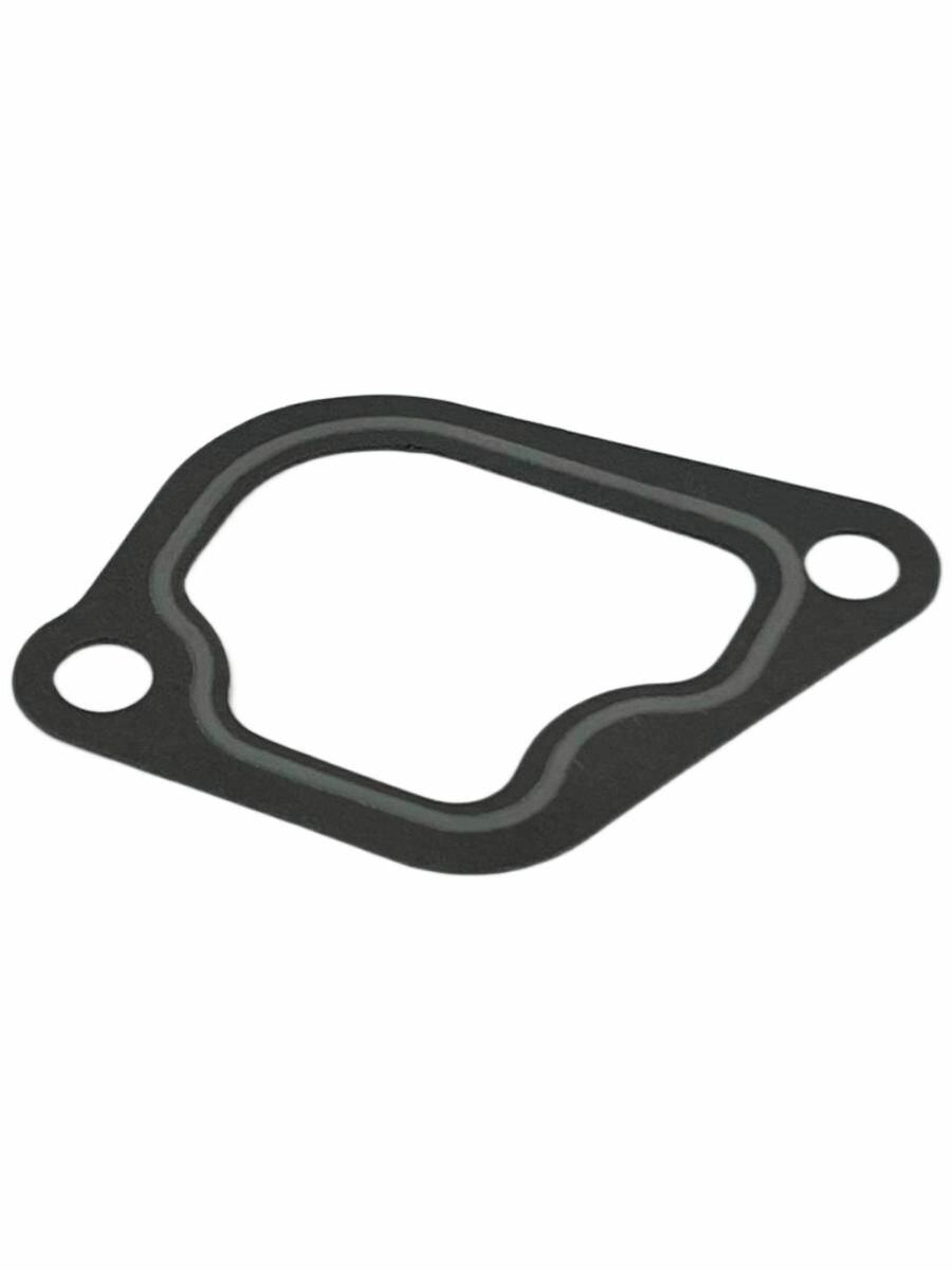 Прокладка термостата min10 P303