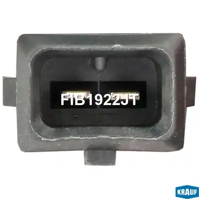 Форсунка бензиновая FIB1922JT
