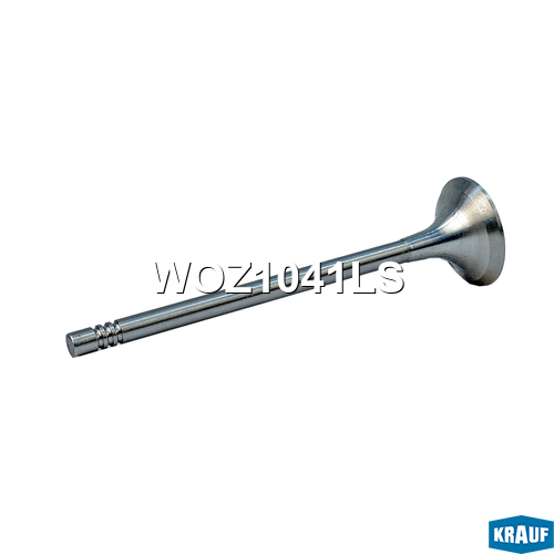 Клапан выпускной WOZ1041LS