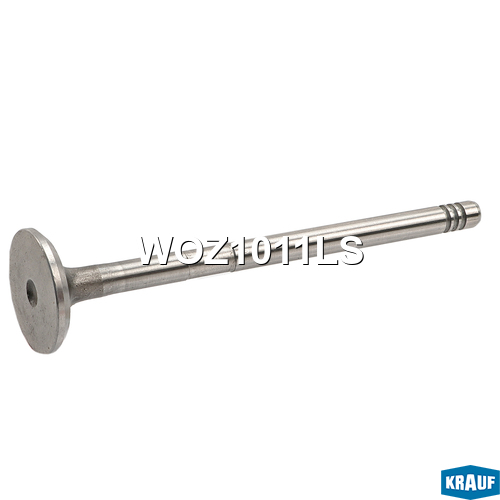 Клапан выпускной WOZ1011LS