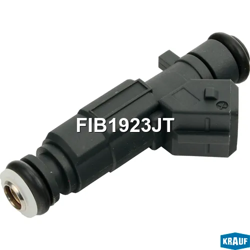 Форсунка бензиновая FIB1923JT