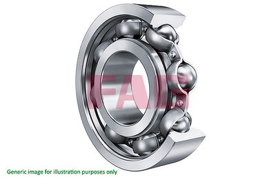 Подшипник полуоси RENAULT MEGANE III (62x35x14) 6007.2RSR