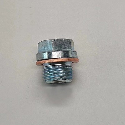 МАСЛОЗАЛИВНАЯ ПРОБКА  484J1009014
