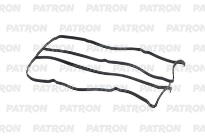 Прокладка клапанной крышки Ford Focus 1.251.6 16V PG60115