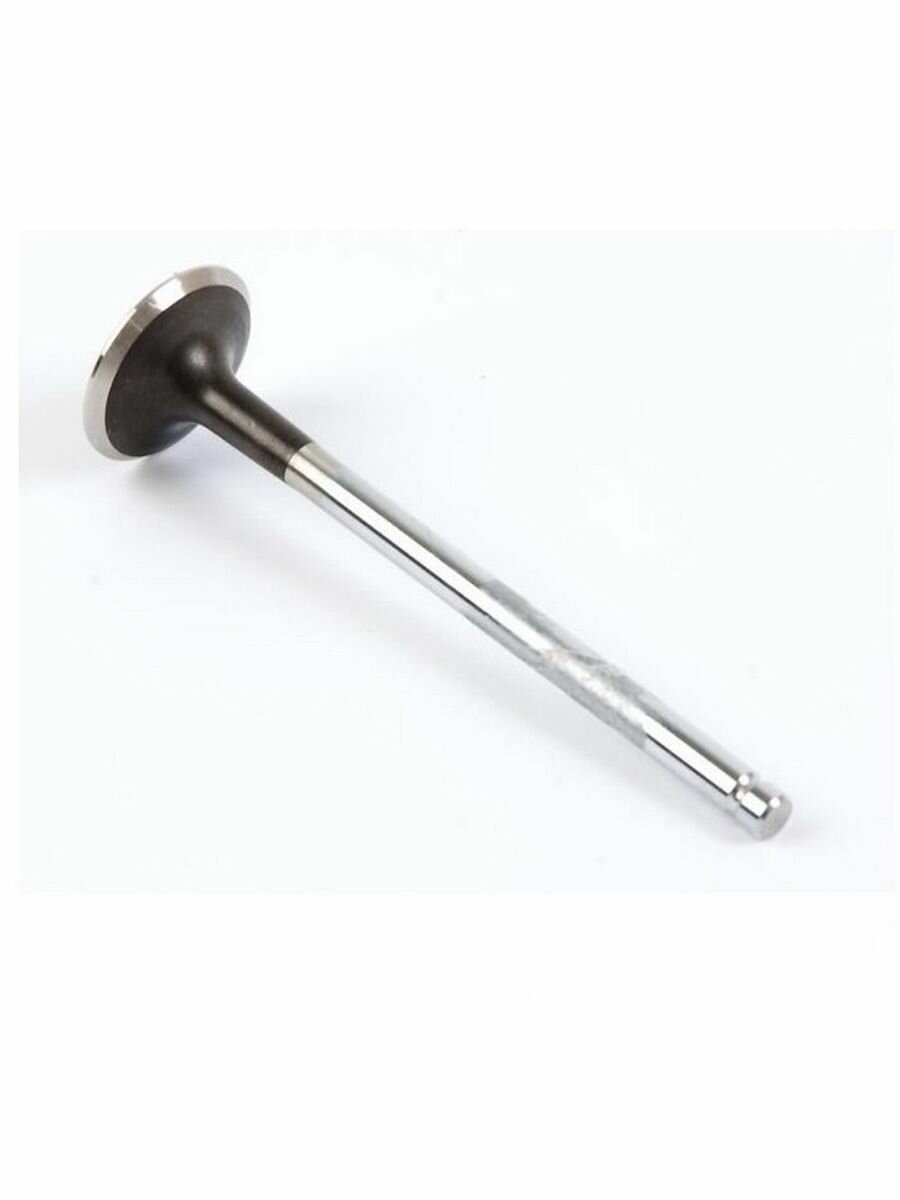 Клапан выпускной GM LAQ/B10D1 77BV273