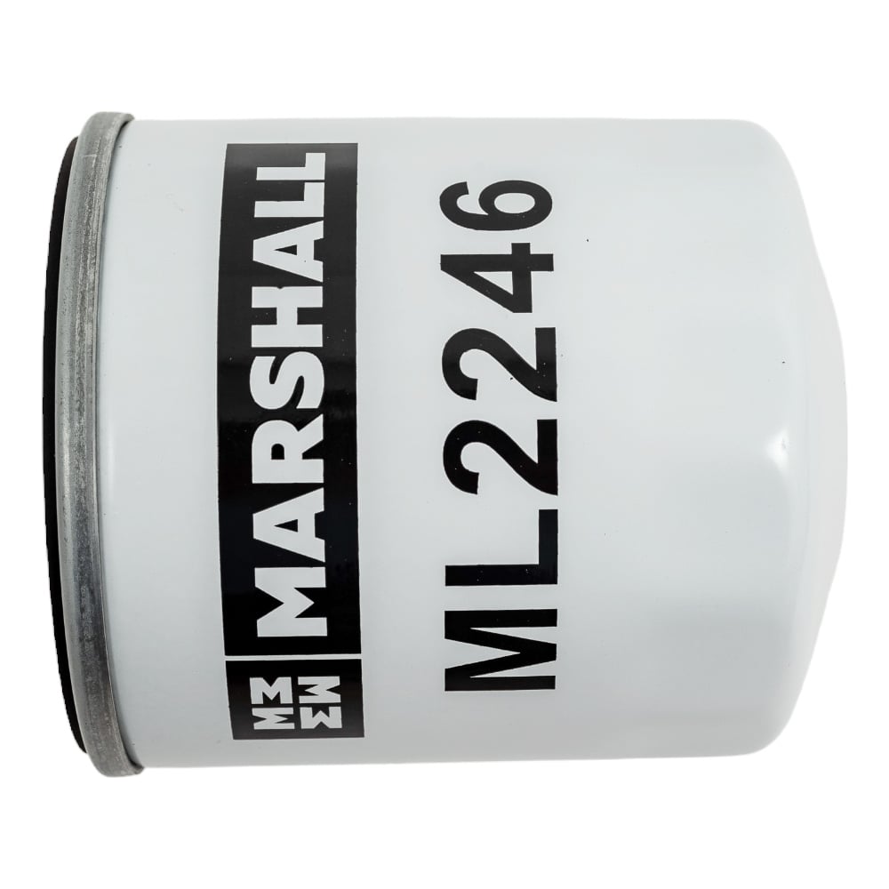 Фильтр масляный Ford Fiesta V-VII 02-  Focus II-IV 04-  Mondeo III-V 00- Volvo S40 II 04-  S60 II 10- ML2246