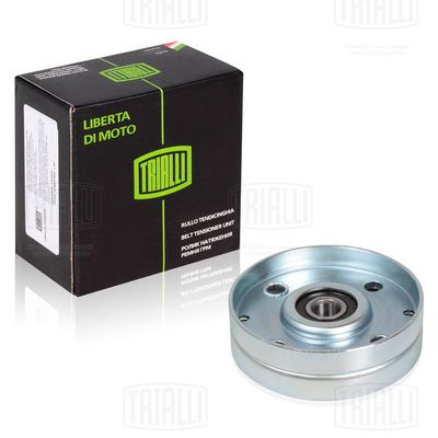 Ролик генер. Nissan Almera (00-) 1.5i/1.8i CM1401