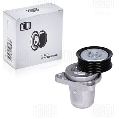 Ролик привод. ремня с натяж. мех. Mazda 6 (02-) 1.8/2.0/2.3 (CMS 1206)
