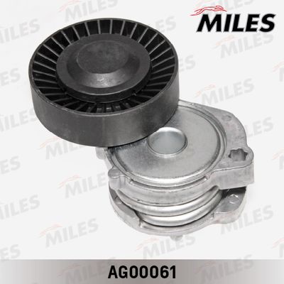 Натяжитель ремня приводного FORD MONDEO 2.5 07- (INA 534060410) AG00061